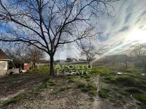 Teren intravilan, zona Sannicolau Mic