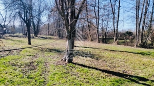 Casa potential turistic si comercial -zona Varfurile - imagine 10