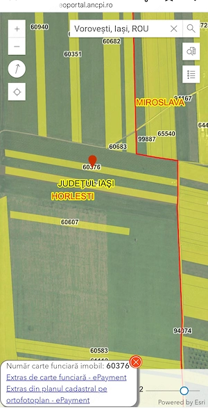 Teren extravilan Miroslava (livada) - imagine 4