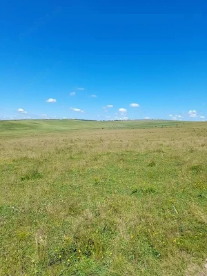 Vând teren Extravilan