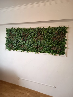 Angajam personal firma curățenie  - imagine 2