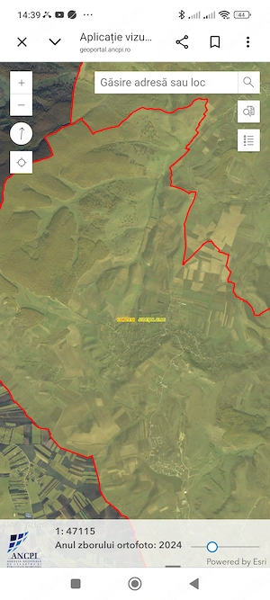 De vanzare padure  - imagine 2