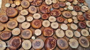 felii din lemn masiv