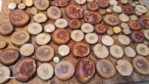 felii din lemn masiv