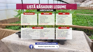 Vand Rasad | Rasaduri Rosii Rila, Inima de bou, Prekos, Kalina, Cherry - imagine 5