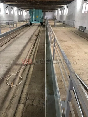 Ferma complet utilată – 30 ha teren comasat cu 11.500mp grajduri renovate Timiș – Comuna Biled - imagine 12