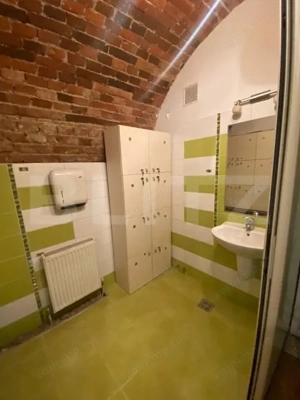 Casa cu 8 camere, 315 mp utili, pentru clinica, birou sau local, ultracentral! - imagine 10