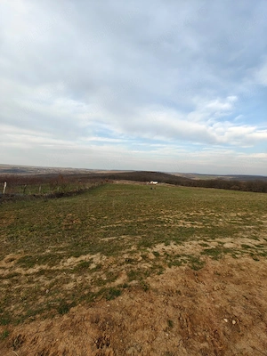 Teren intravilan, acces rapid către Oradea 