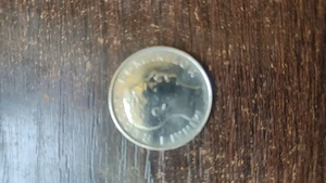 Moneda foarte rara 