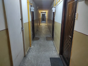 Dambovița pe langa Lidl - imagine 13