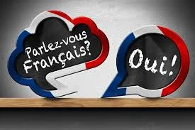 Meditații la limba franceză pentru elevii claselor I X, precum și adulților, indiferent de nivel