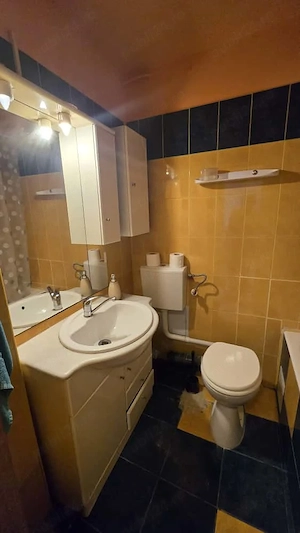 Apartament 3 camere Valea Ialomitei, Lunca Siretului, centrala termica - imagine 3