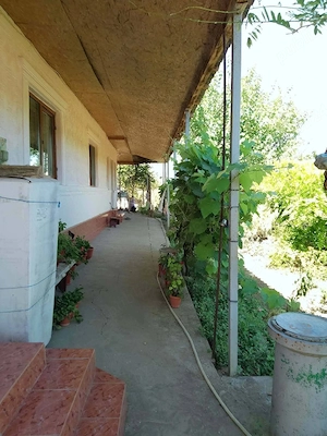 Direct proprietar - imagine 5