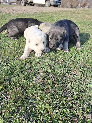 asia centrala - imagine 4