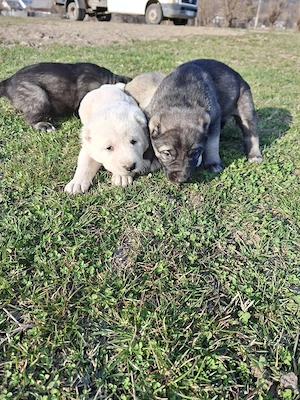 asia centrala - imagine 5