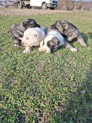 asia centrala - imagine 3