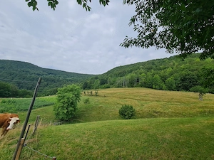 Teren de vânzare cu casă în Apuseni