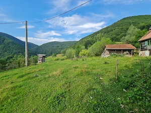 Teren de vânzare cu casă în Apuseni - imagine 2