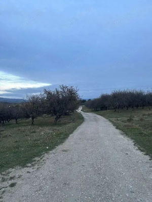 Teren de Vânzare – 34.485 mp | Câmpulung Muscel | Zonă Panoramică & Dezvoltare - imagine 5