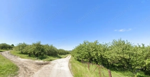 Teren de Vânzare – 34.485 mp | Câmpulung Muscel | Zonă Panoramică & Dezvoltare - imagine 6