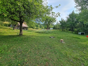 Teren de vânzare cu casă în Apuseni - imagine 7