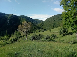 Teren de vânzare cu casă în Apuseni - imagine 5