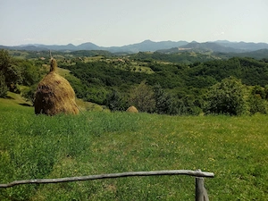 Teren de vânzare cu casă în Apuseni - imagine 9