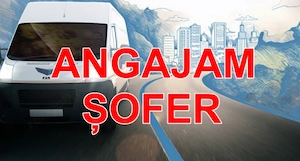 Angajăm șoferi categoria B urgent!