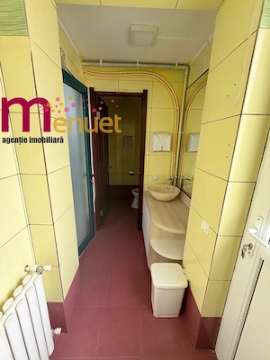 Spatiu comercial, Ultracentral,110mp - imagine 5