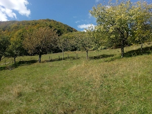 Teren de vânzare cu casă în Apuseni - imagine 8