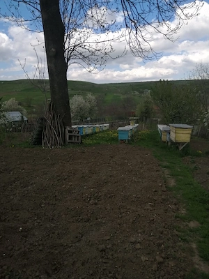 Proprietar,vând casă cu teren,sat Zăpodia comuna Colonești, județul Bacău. - imagine 4