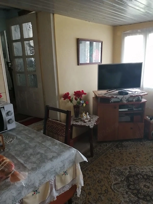 Proprietar,vând casă cu teren,sat Zăpodia comuna Colonești, județul Bacău. - imagine 5