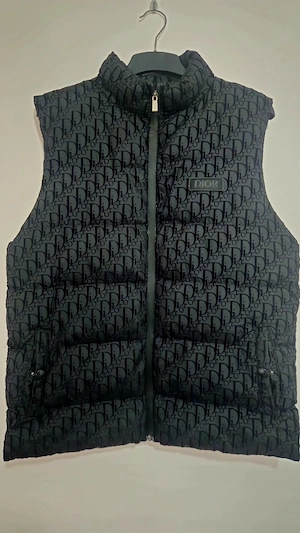 Vesta Dior Oblique model premium