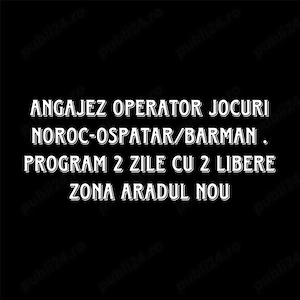 Operator jocuri ospatar barman