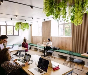 Calea Victoriei I Vila Monument Istoric I Consolidata si Renovata