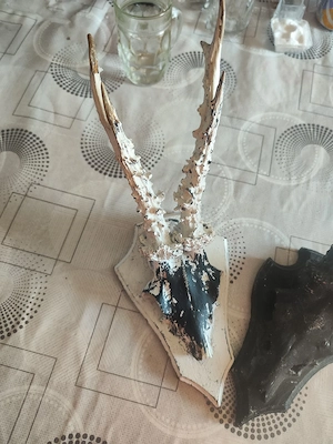 vand trofeele din imagine. - imagine 2