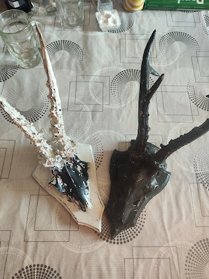 vand trofeele din imagine. - imagine 4