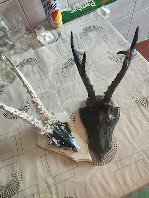 vand trofeele din imagine. - imagine 3