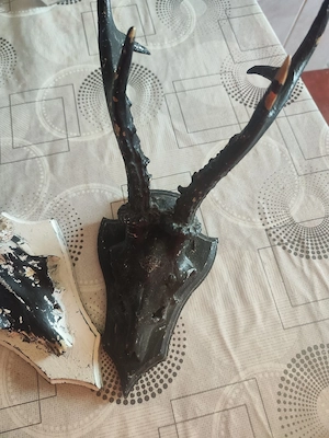 vand trofeele din imagine.