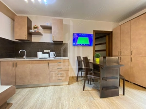 Studio de închiriat-Zona Centrala-1-3 luni