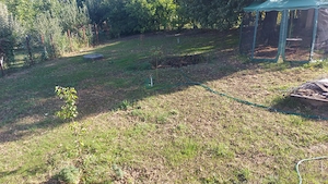 Casa din lemn,Zona Păun Bârnova - imagine 8