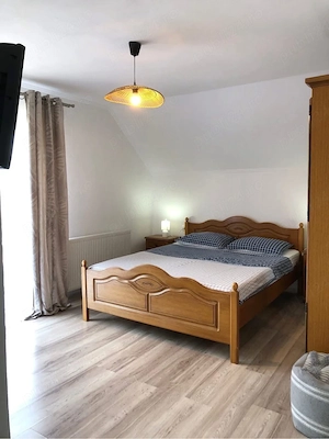 Casa de vanzare Calimanesti Caciulata - imagine 5