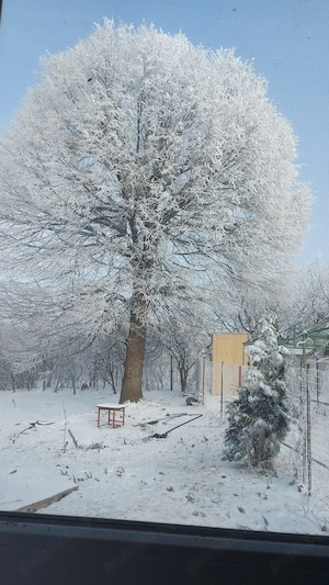 Casa din lemn,Zona Păun Bârnova - imagine 6