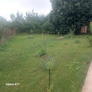 Casa din lemn,Zona Păun Bârnova - imagine 7