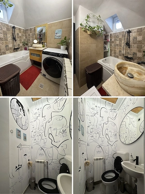 Apartament renovat cu 2 camere in vila cu curte - Piata Domenii - imagine 4