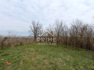 Teren intravilan 1295 mp | Deschidere 29 ml | Panoramă | Straja - imagine 2