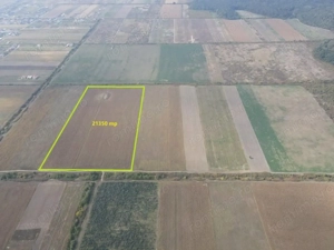 TEREN DE VÂNZARE 2,1 HECTARE în apropierea Pădurii Bistra
