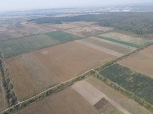 TEREN DE VÂNZARE 2,1 HECTARE în apropierea Pădurii Bistra - imagine 4