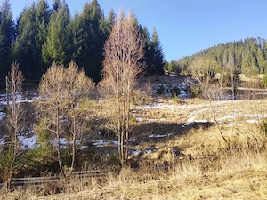 teren de vanzare - imagine 2