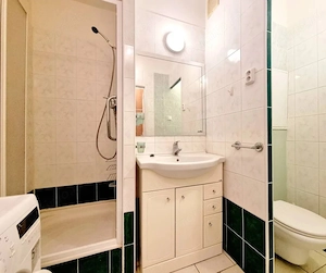 Apartament cu o camera de vanzare in zona Complex Studentesc - imagine 2